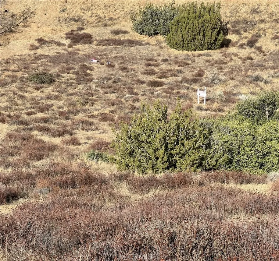 Sierra Acton, CA 93510