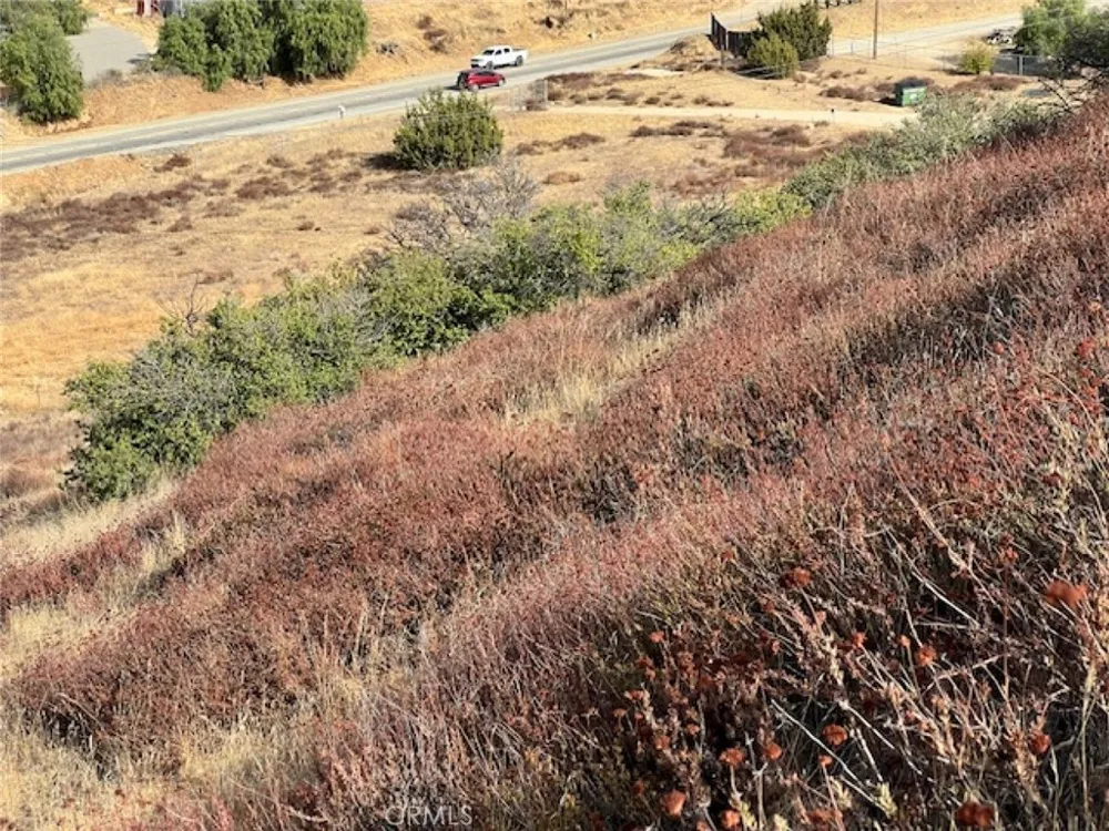Sierra Acton, CA 93510