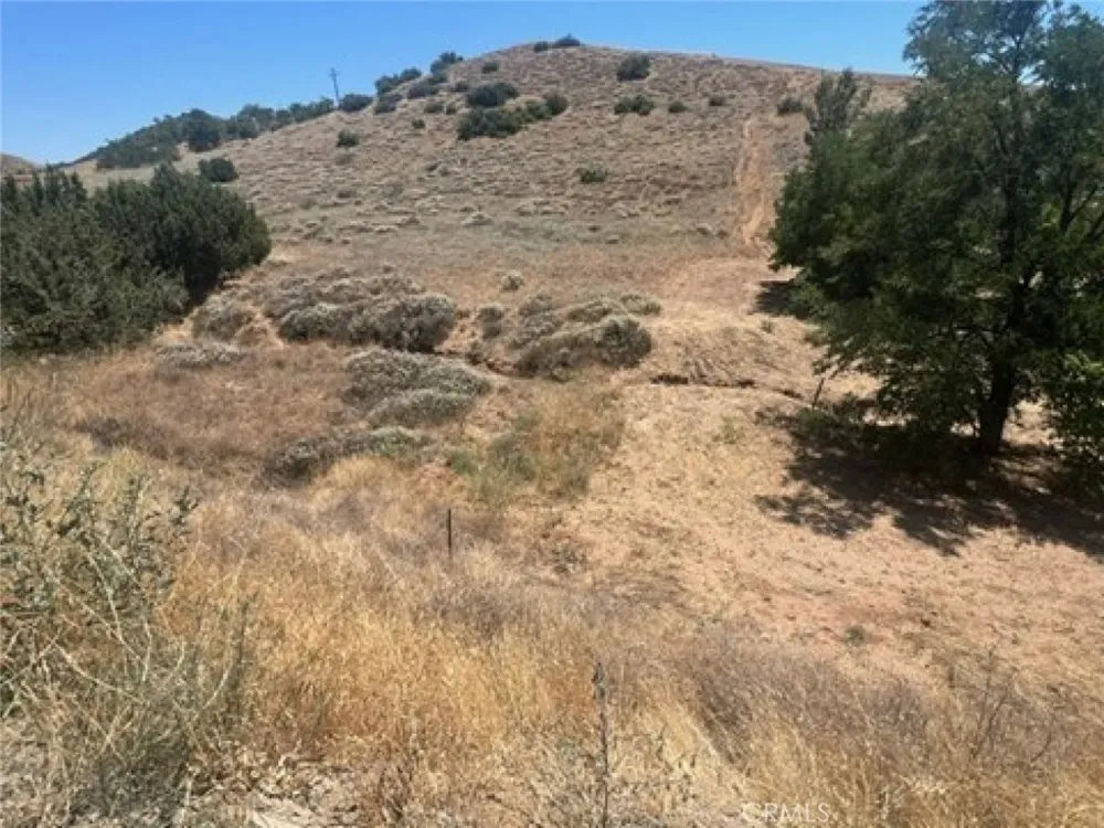 Sierra Acton, CA 93510