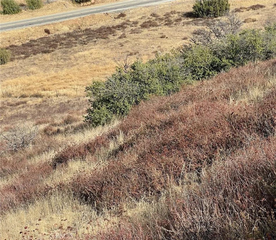 Sierra Acton, CA 93510
