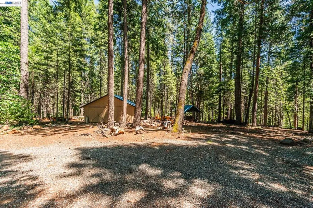 751 Mountain Aire, Ln Trinity Center, CA 96091