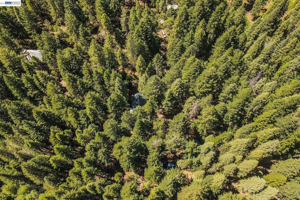751 Mountain Aire, Ln Trinity Center, CA 96091