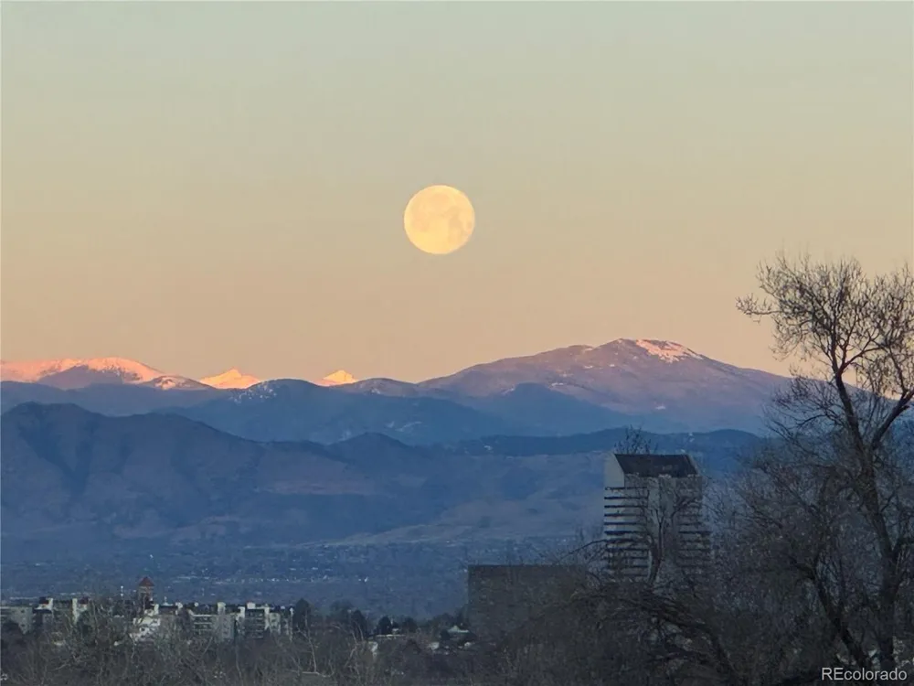 7877 E Mississippi Avenue #301 Denver, CO 80247