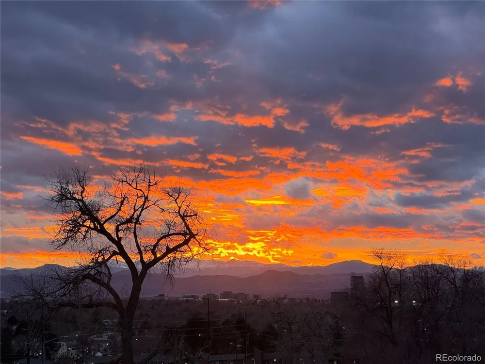 7877 E Mississippi Avenue #301 Denver, CO 80247