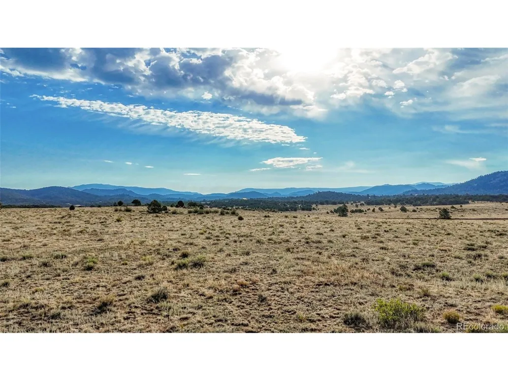 705 Riggs Road Westcliffe, CO 81252