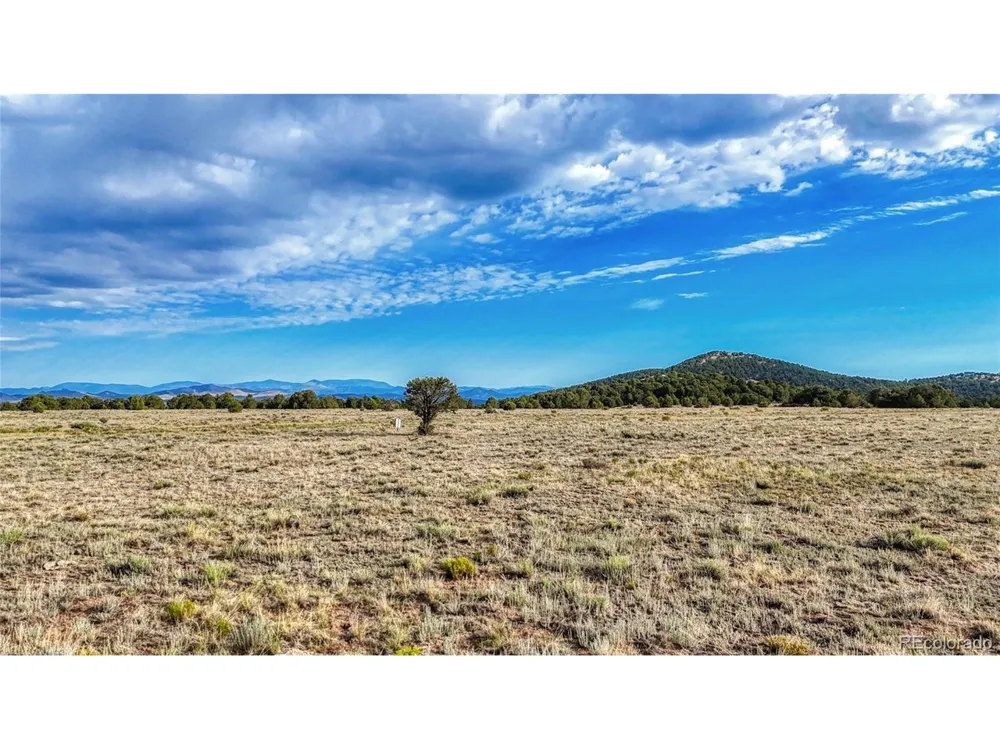 705 Riggs Road Westcliffe, CO 81252