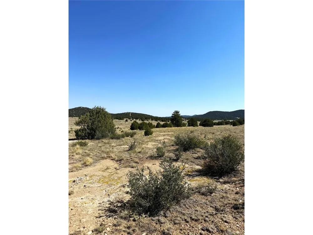 705 Riggs Road Westcliffe, CO 81252