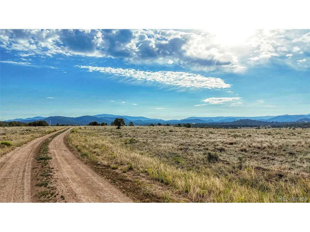 705 Riggs Road Westcliffe, CO 81252