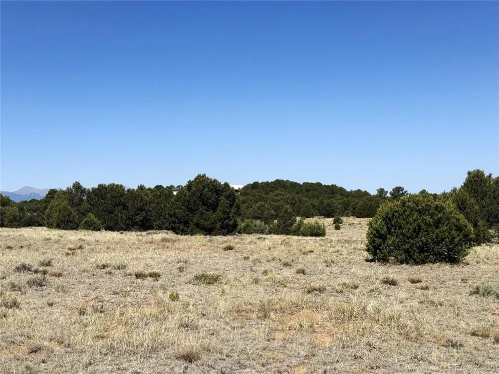 705 Riggs Road Westcliffe, CO 81252