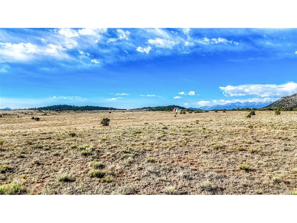 705 Riggs Road Westcliffe, CO 81252
