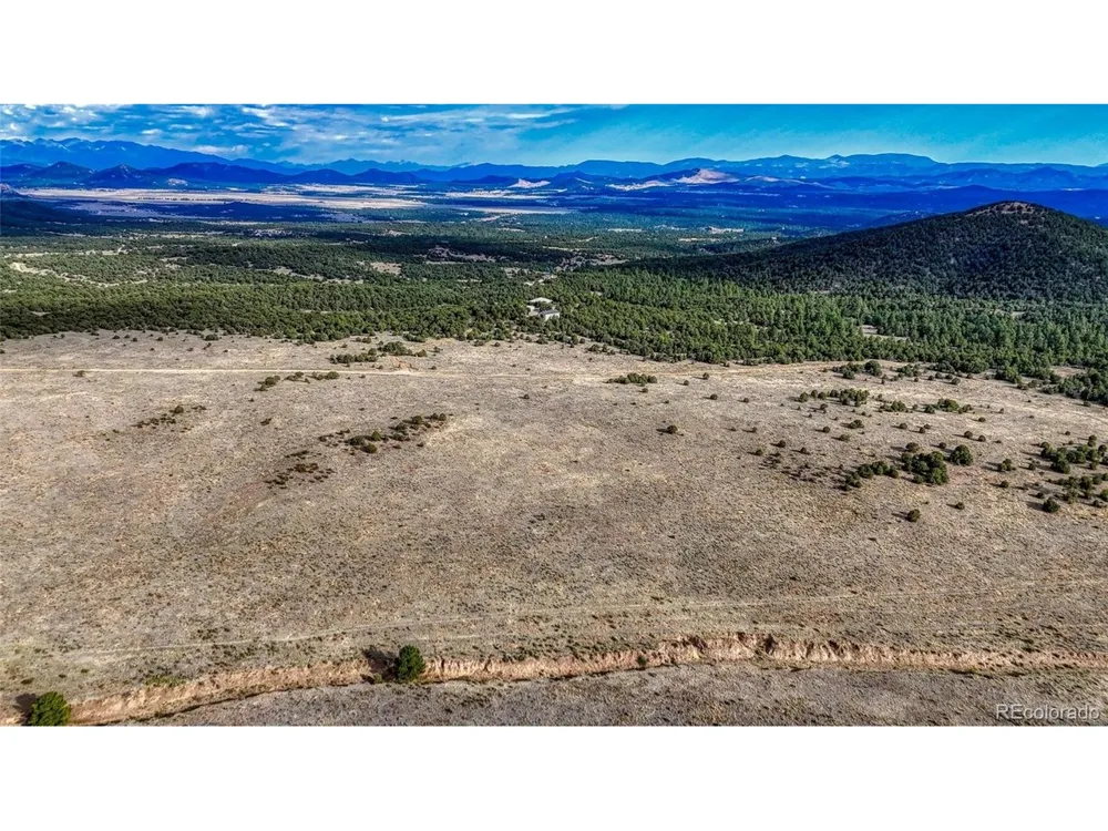 705 Riggs Road Westcliffe, CO 81252