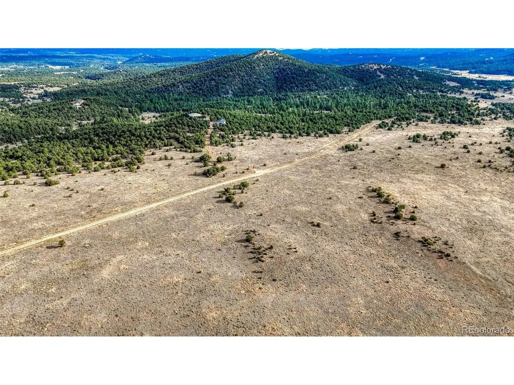 705 Riggs Road Westcliffe, CO 81252