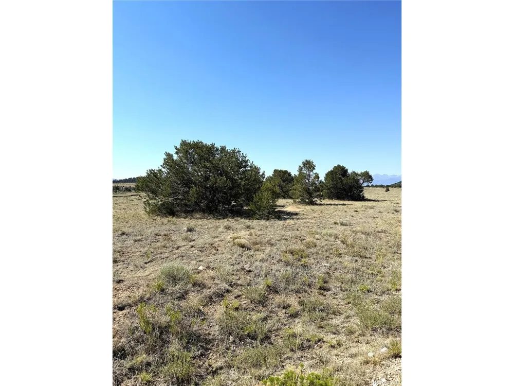 705 Riggs Road Westcliffe, CO 81252