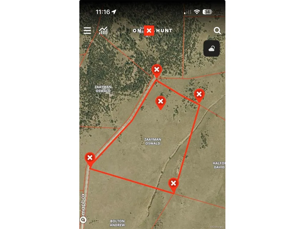 705 Riggs Road Westcliffe, CO 81252