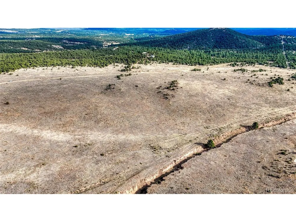 705 Riggs Road Westcliffe, CO 81252