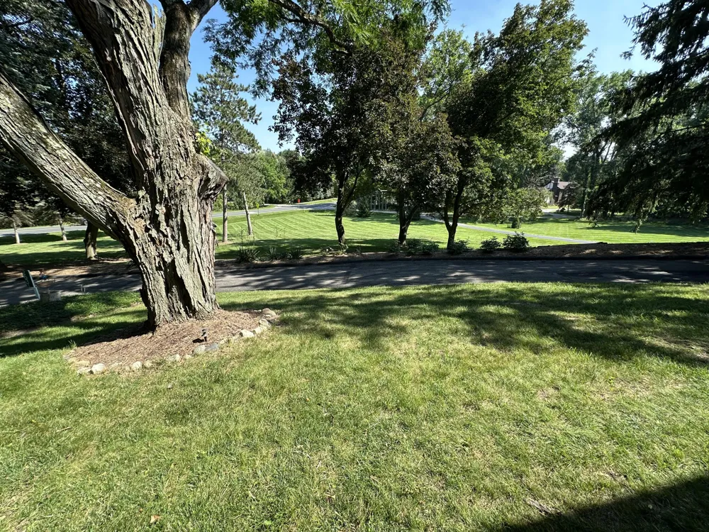 2631 Maple Road Scio Township, MI 48103