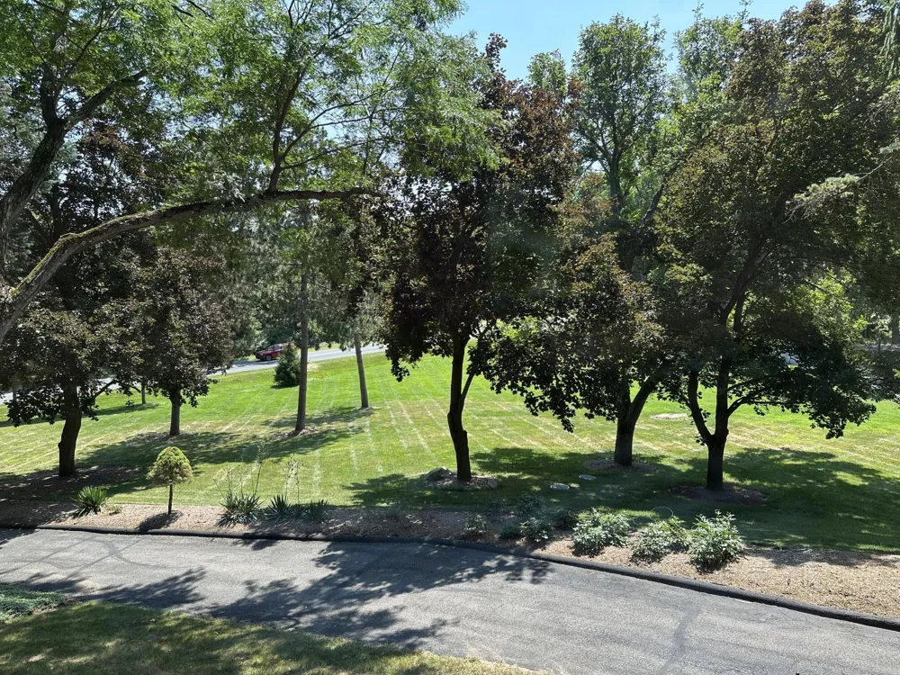 2631 Maple Road Scio Township, MI 48103