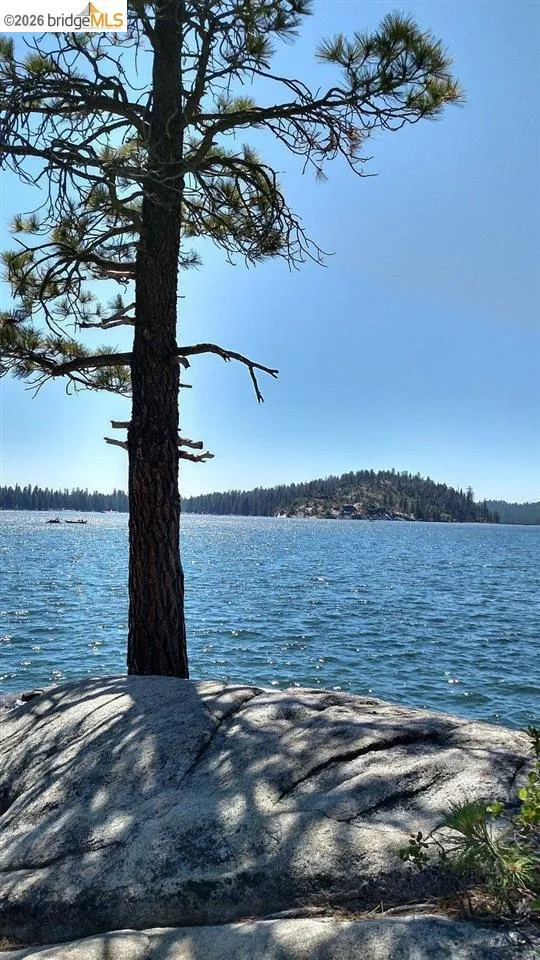 73 Pinecrest Pinecrest, CA 95364
