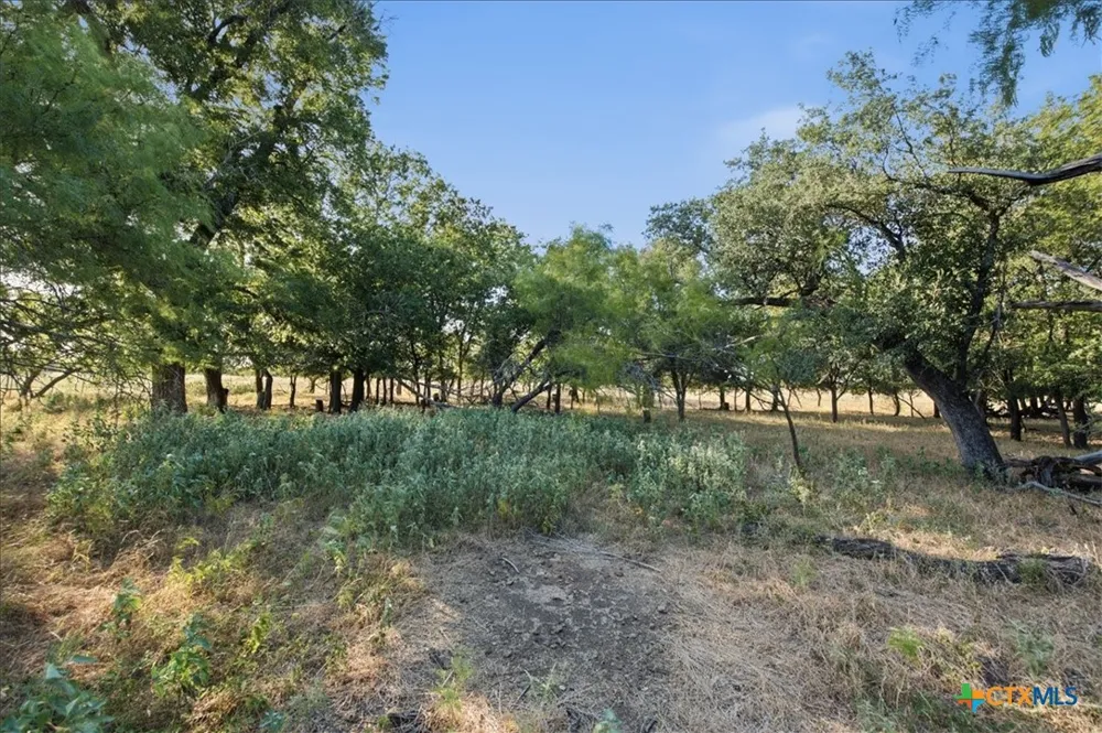 5610 County Road 174 - Tract 6 Gatesville, TX 76528
