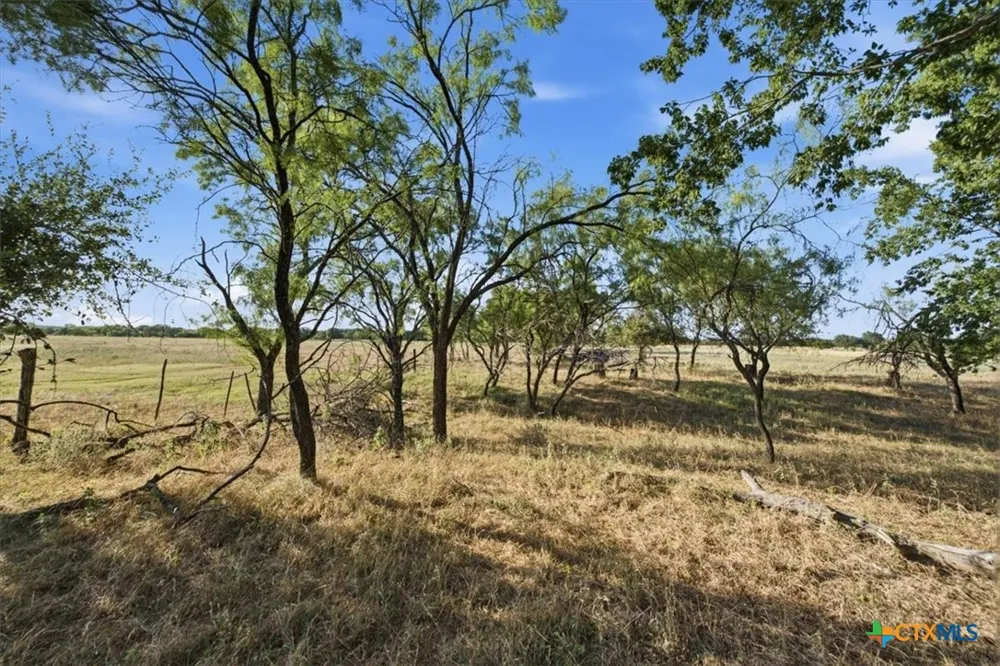 5610 County Road 174 - Tract 6 Gatesville, TX 76528