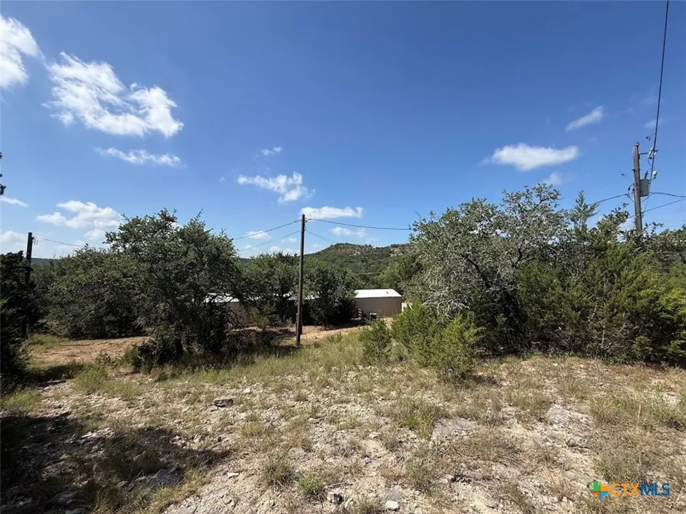 341 Buck Trail Canyon Lake, TX 78133