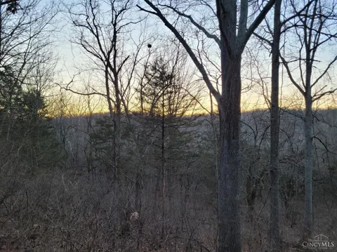 Bear Creek Rd