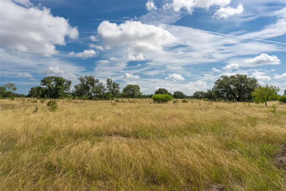 Wine Trail Drive Johnson City, TX 78636