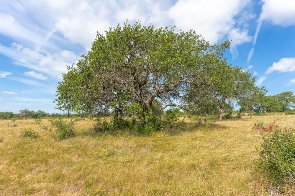 Wine Trail Drive Johnson City, TX 78636