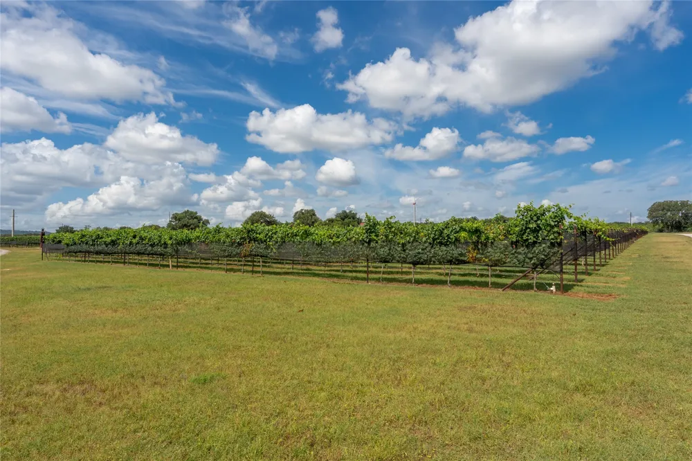 Wine Trail Drive Johnson City, TX 78636