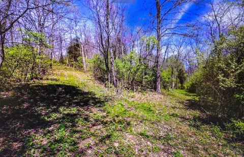 Carolina Trace Road