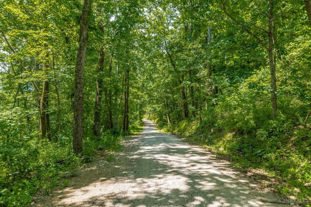 745 Coon Hollow Road Blue Creek, OH 45616
