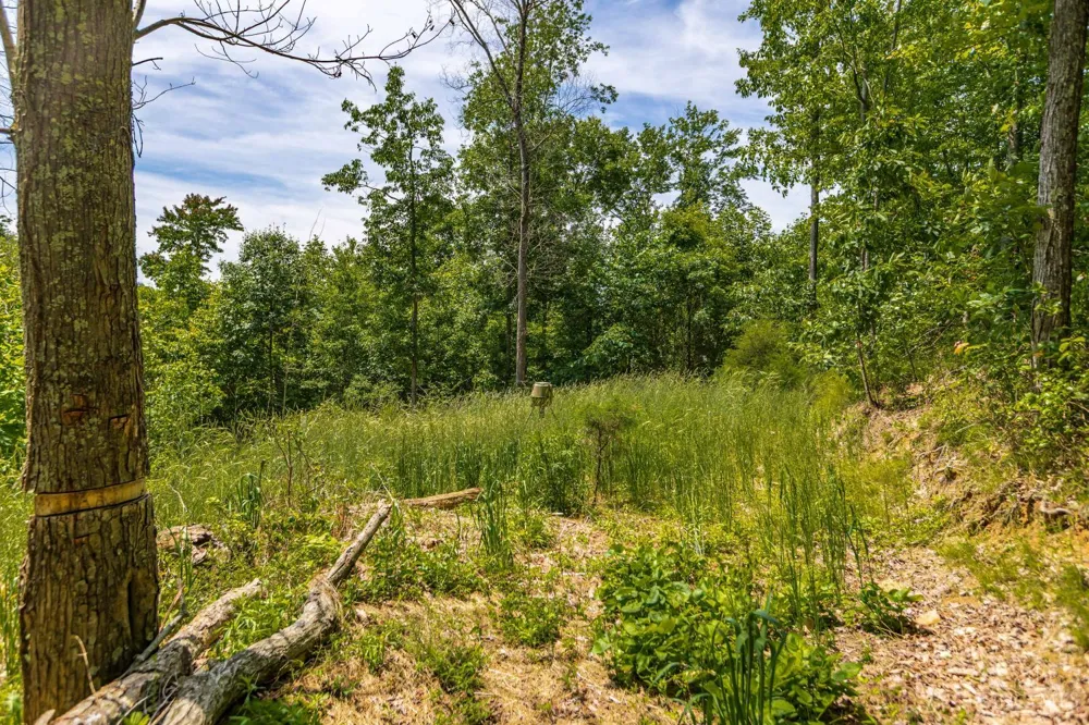 745 Coon Hollow Road Blue Creek, OH 45616