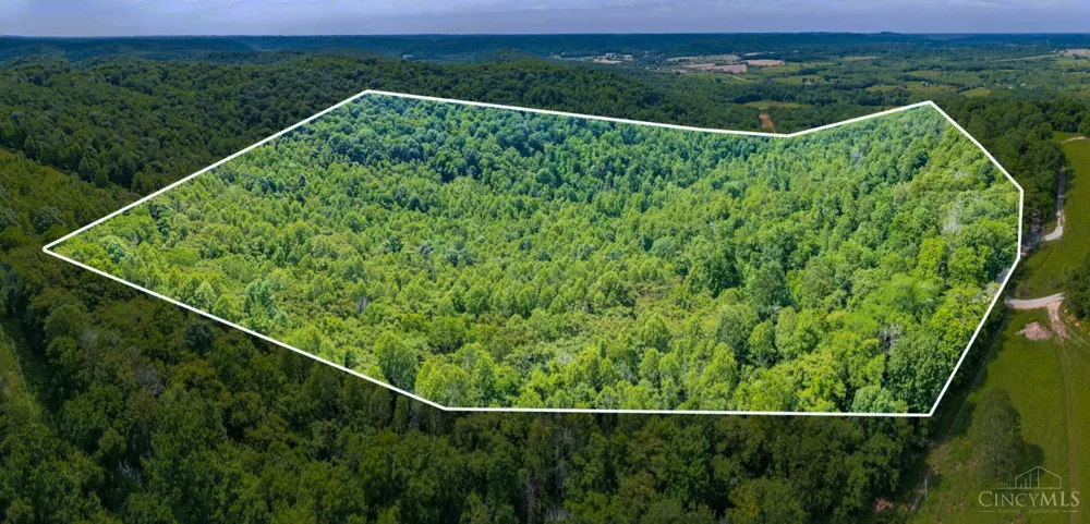 745 Coon Hollow Road Blue Creek, OH 45616