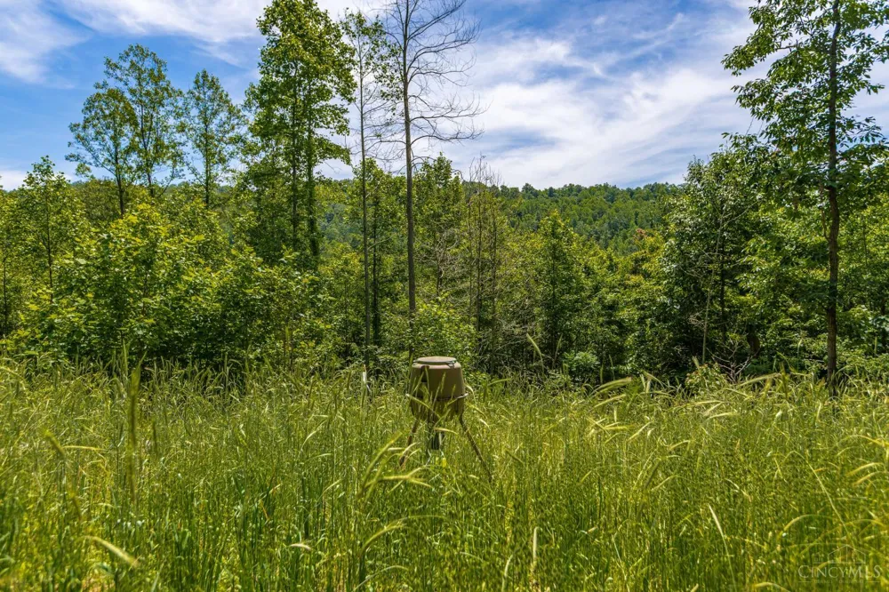 745 Coon Hollow Road Blue Creek, OH 45616