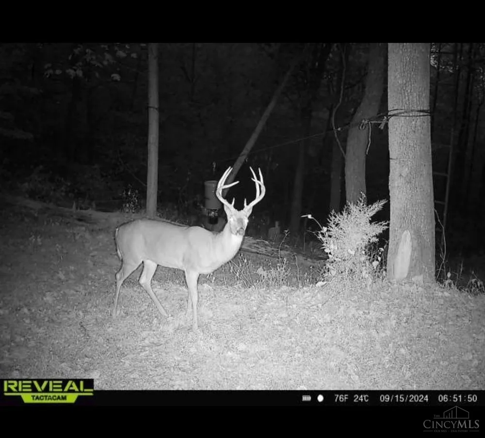745 Coon Hollow Road Blue Creek, OH 45616