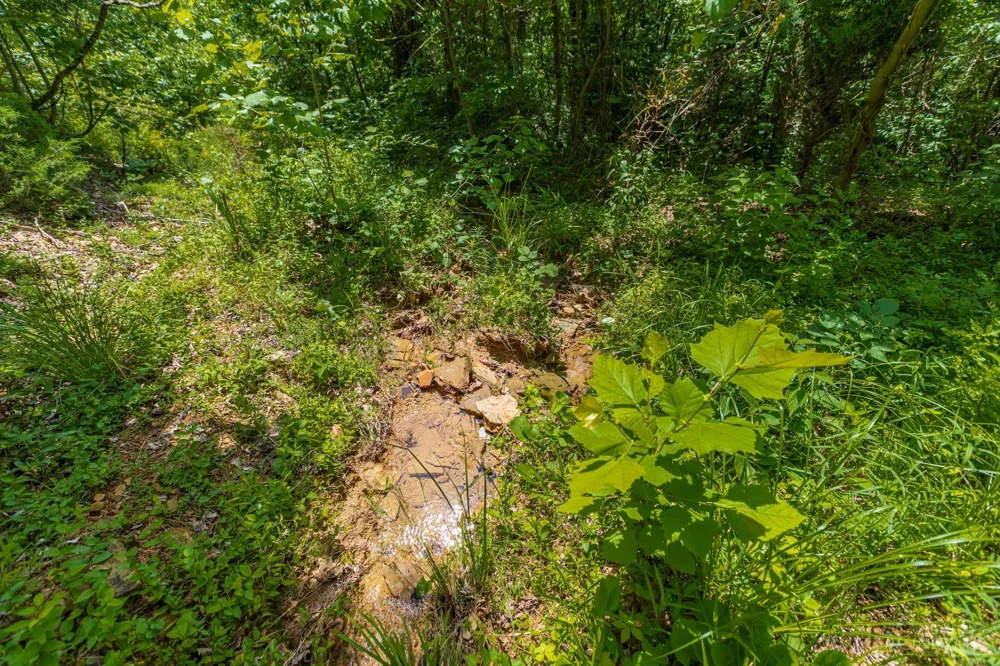 745 Coon Hollow Road Blue Creek, OH 45616