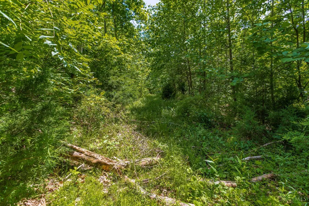 745 Coon Hollow Road Blue Creek, OH 45616