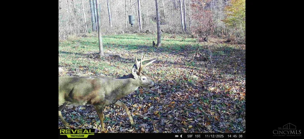 745 Coon Hollow Road Blue Creek, OH 45616