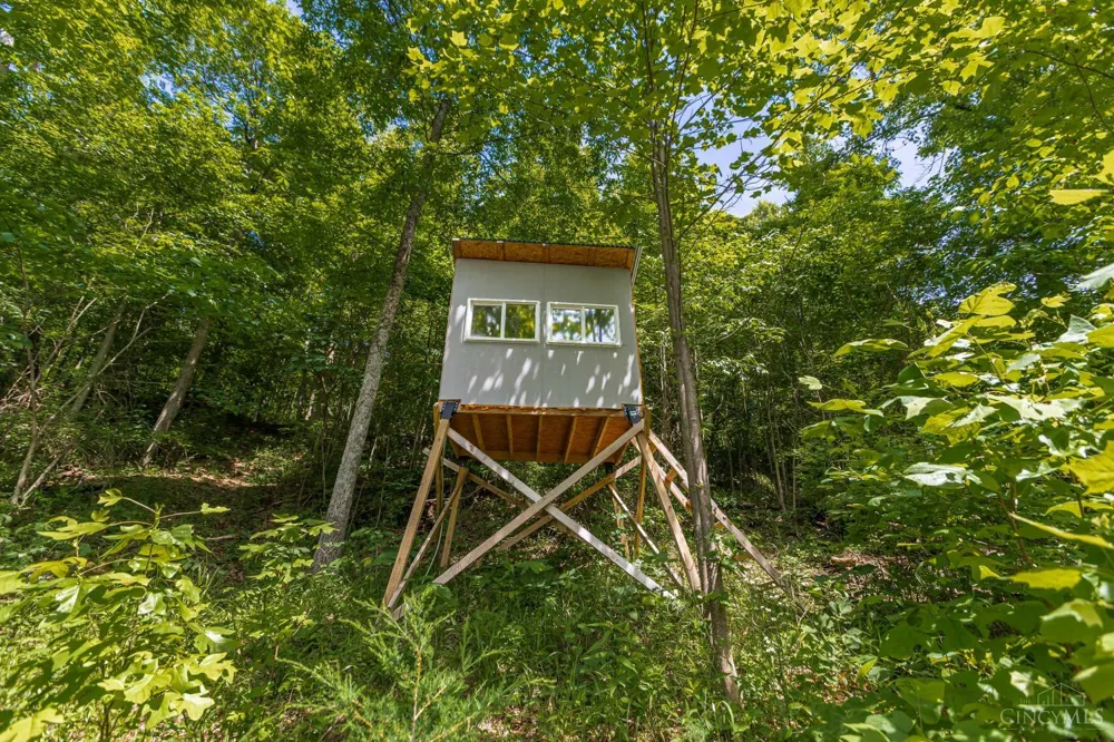 745 Coon Hollow Road Blue Creek, OH 45616
