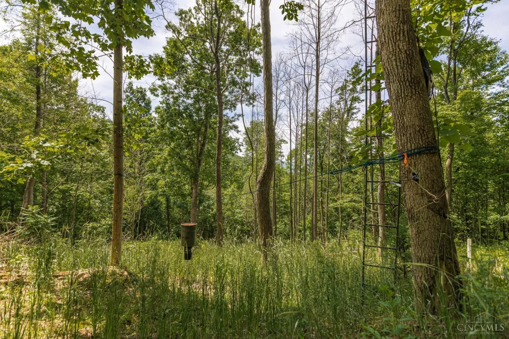 745 Coon Hollow Road Blue Creek, OH 45616