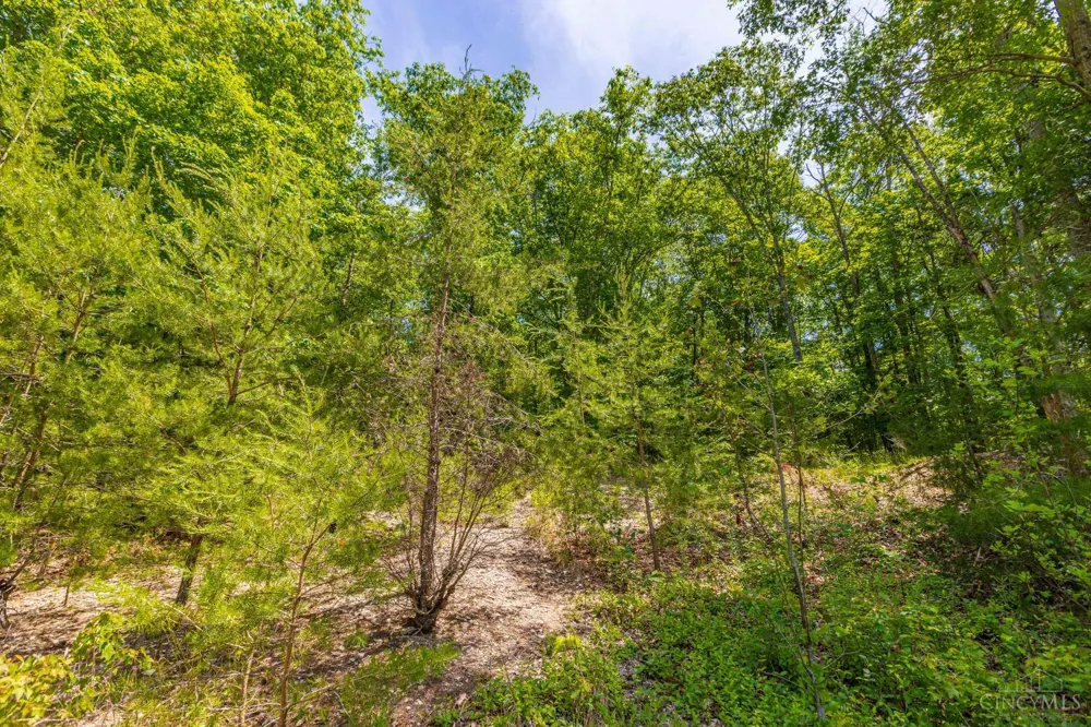 120 Thelma Lane Blue Creek, OH 45616