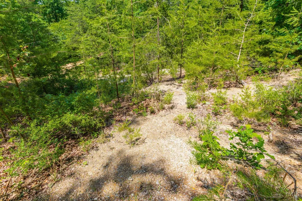120 Thelma Lane Blue Creek, OH 45616
