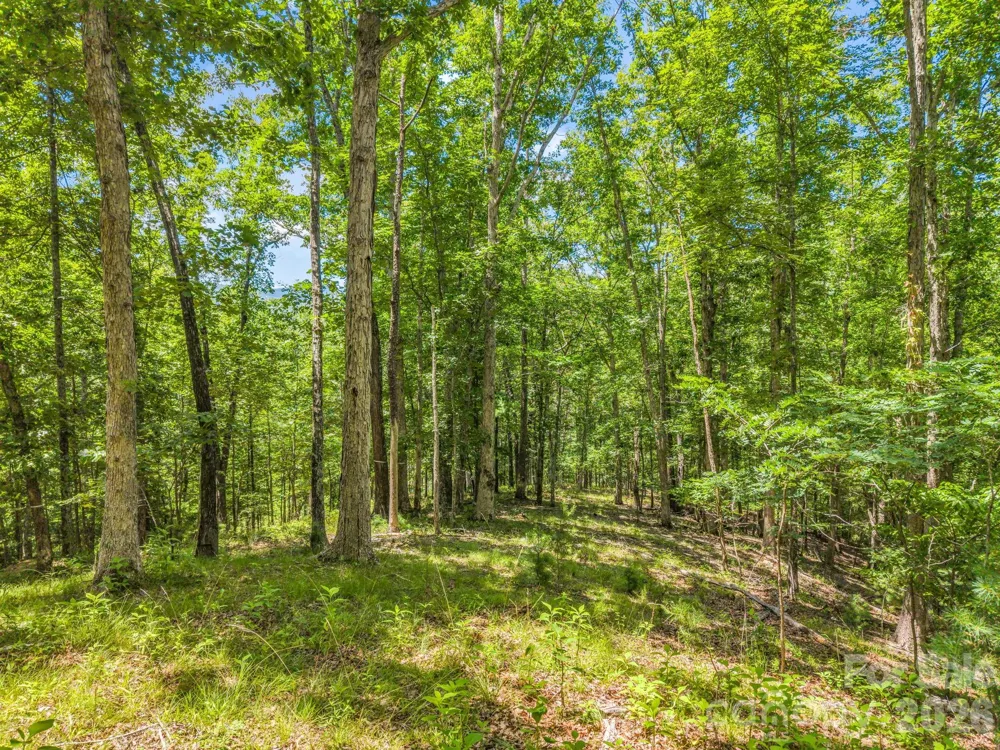 3670 French Broad Parkway Marshall, NC 28753