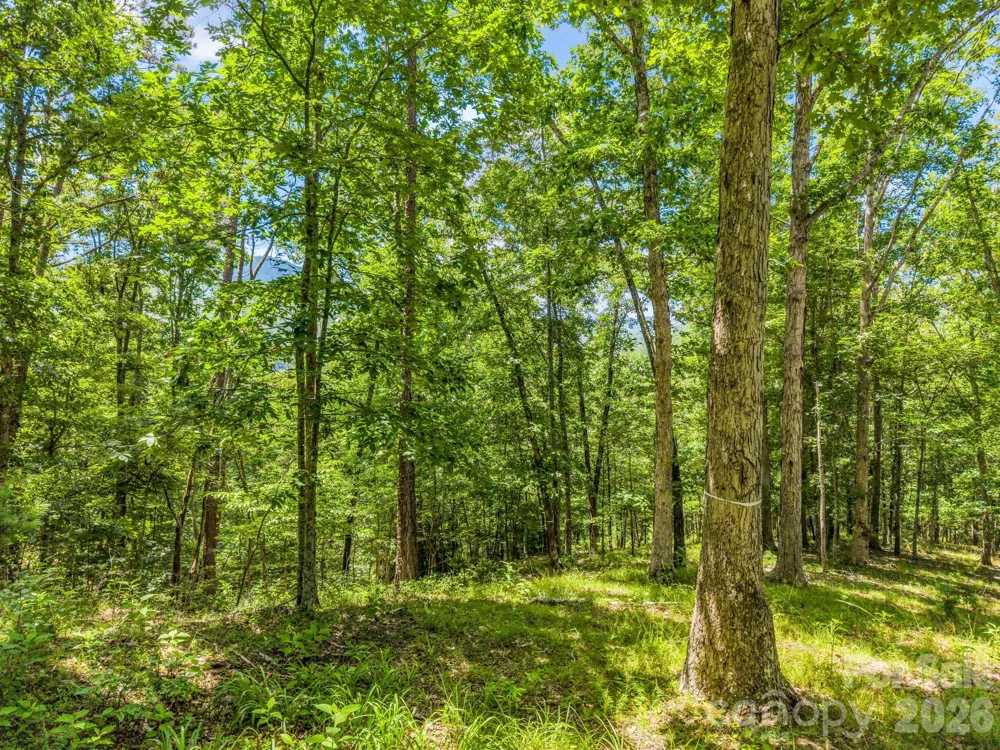 3670 French Broad Parkway Marshall, NC 28753