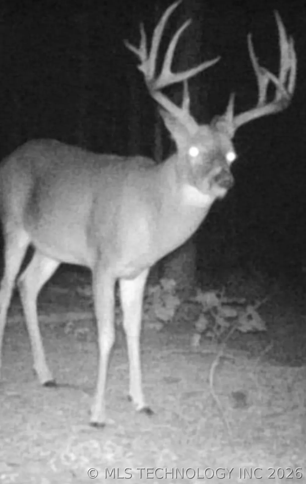 Hwy 1 Wilburton, OK 74578
