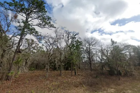 CRIDER ROAD