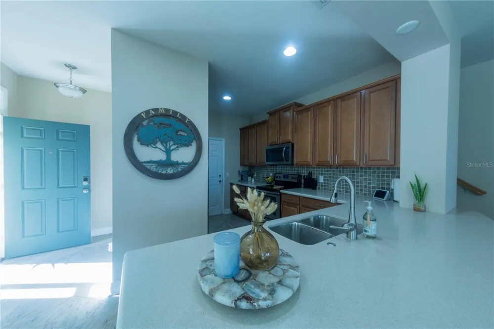 17459 CHATEAU PINE WAY Clermont, FL 34711