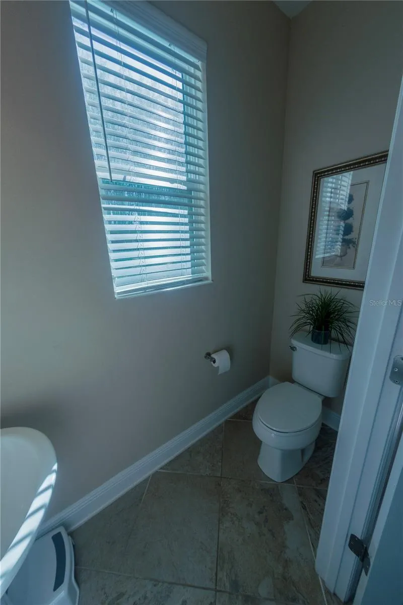 17459 CHATEAU PINE WAY Clermont, FL 34711