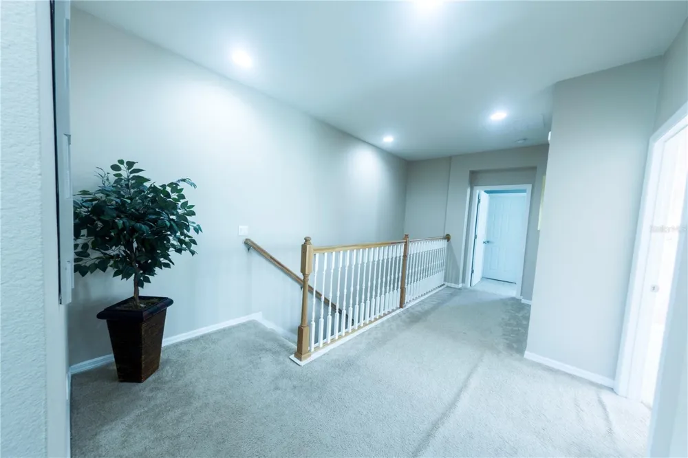 17459 CHATEAU PINE WAY Clermont, FL 34711