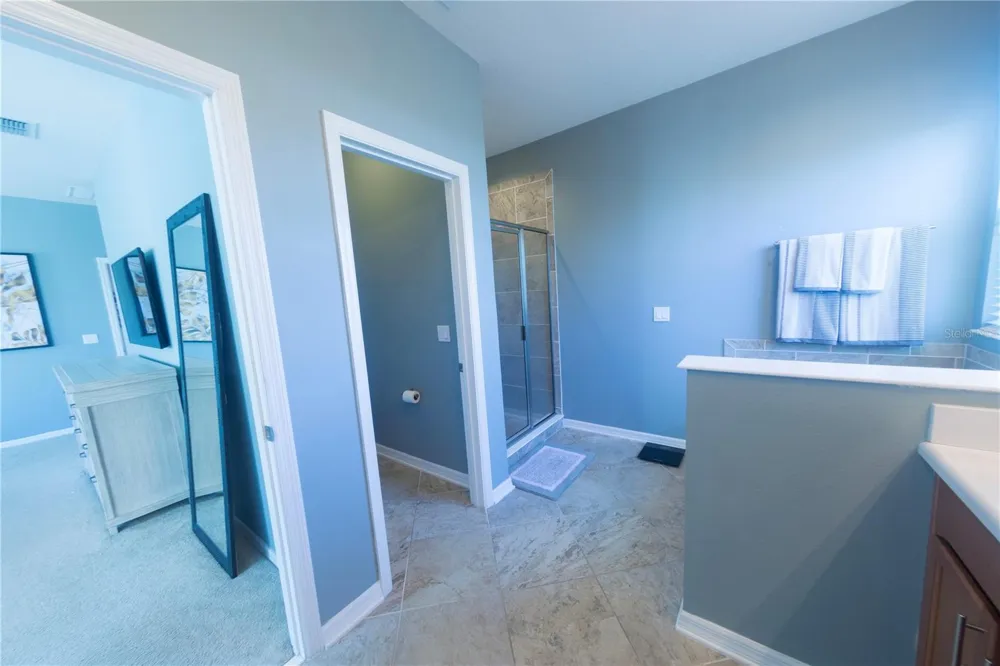 17459 CHATEAU PINE WAY Clermont, FL 34711